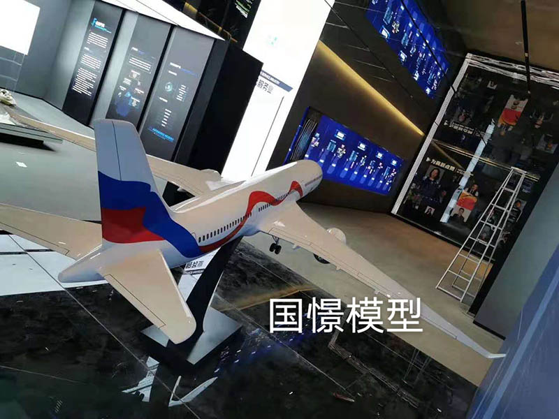 紫金县飞机模型